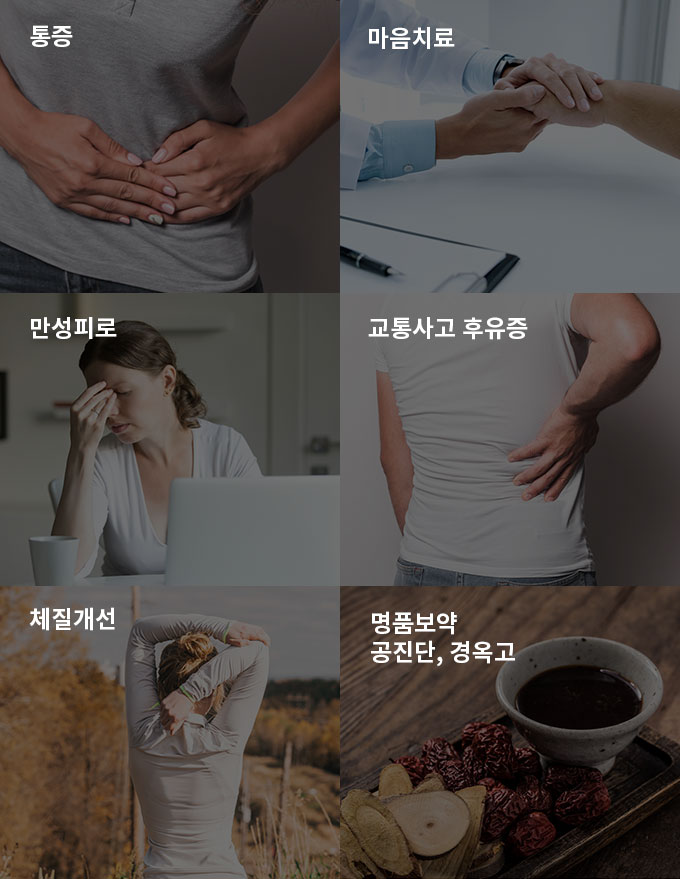 통증,마음치료,만성피로,체질개선,교통사고후유증,명품보약 공진단, 경옥고