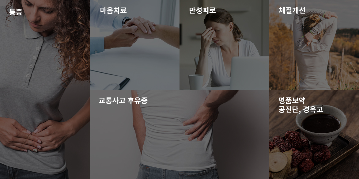통증,마음치료,만성피로,체질개선,교통사고후유증,명품보약 공진단, 경옥고