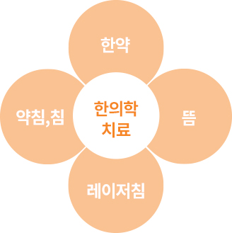 한의학 치료: 한약,뜸,레이저침,약침,침